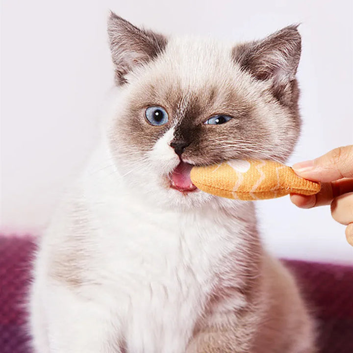 Realistic fish cat chew toy with soft texture for interactive pet play.