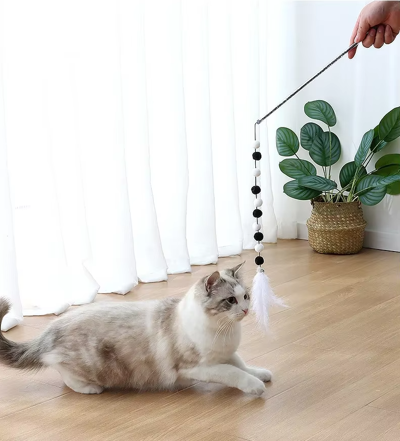 A cat playfully pouncing on the feather attachment of an interactive fishing rod toy during playtime