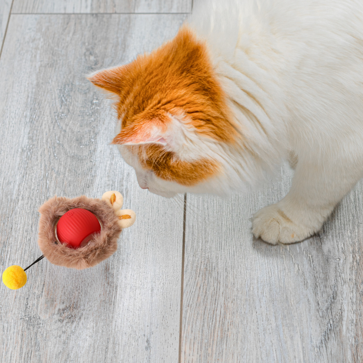 Interactive cat fur ball toy stimulates mental activity for playful cats