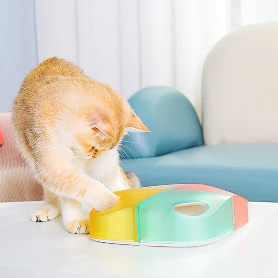Engaging cat puzzle toy featuring spring heads for interactive pet entertainment and feline fun