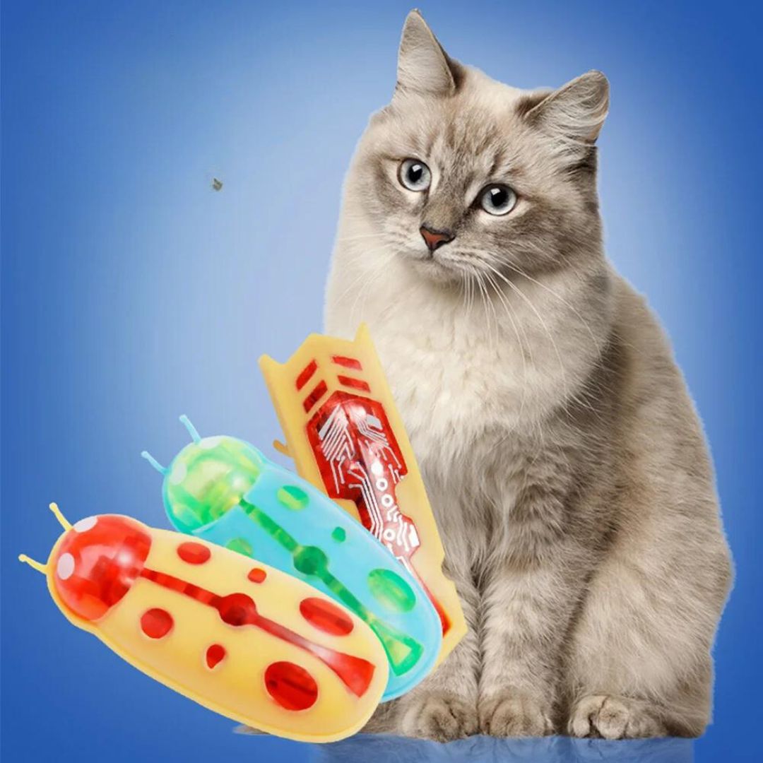 Interactive cat insect toy for pets, stimulating hunting instincts with unpredictable movement.