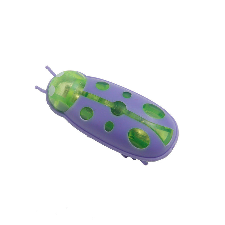 Modern battery-operated insect cat toy, providing exciting interactive playtime for your pet.