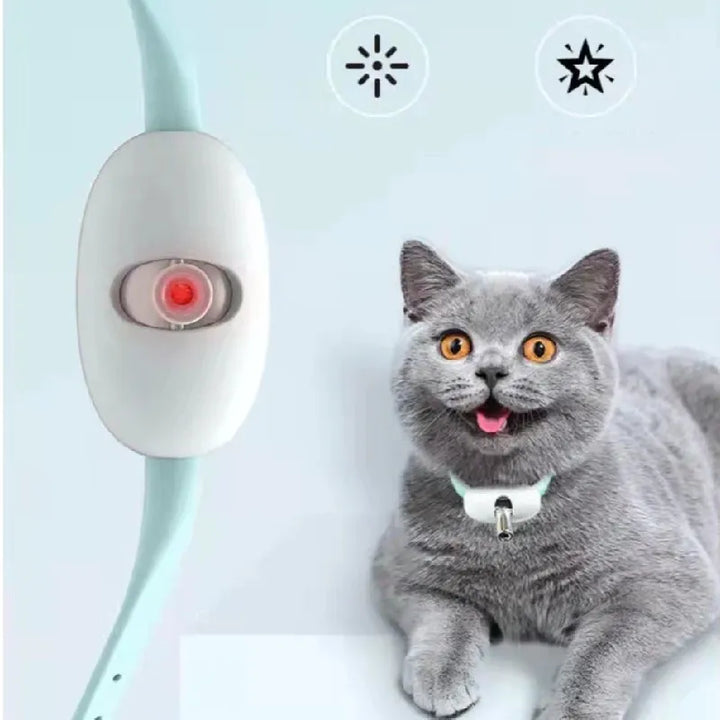 Close-up of a cat eagerly chasing the red dot from an interactive laser pointer toy for feline enrichment