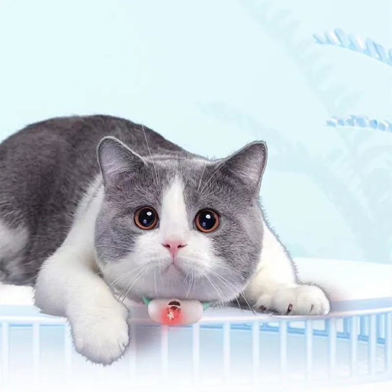 Packaging for an interactive laser pointer cat toy, highlighting pet activity and entertainment