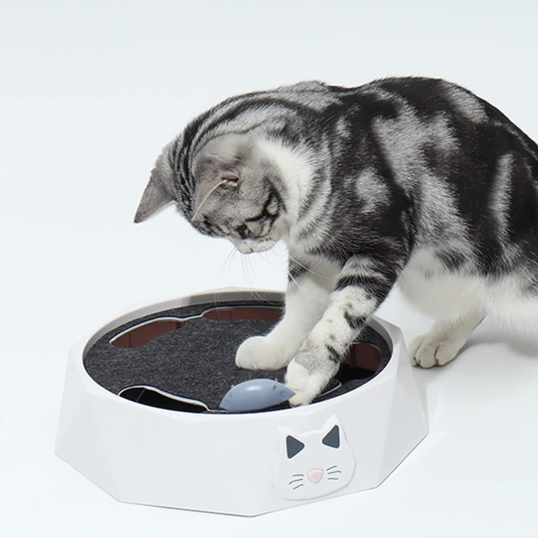 Interactive cat mouse hunt toy with three peek holes for feline mental stimulation and enrichment