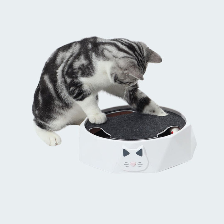 Close-up of a cat pawing at the interactive mouse hunt toy for mental stimulation