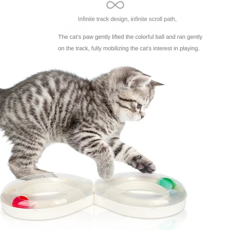Close-up of infinity design cat toy with ball in motion, pet enrichment