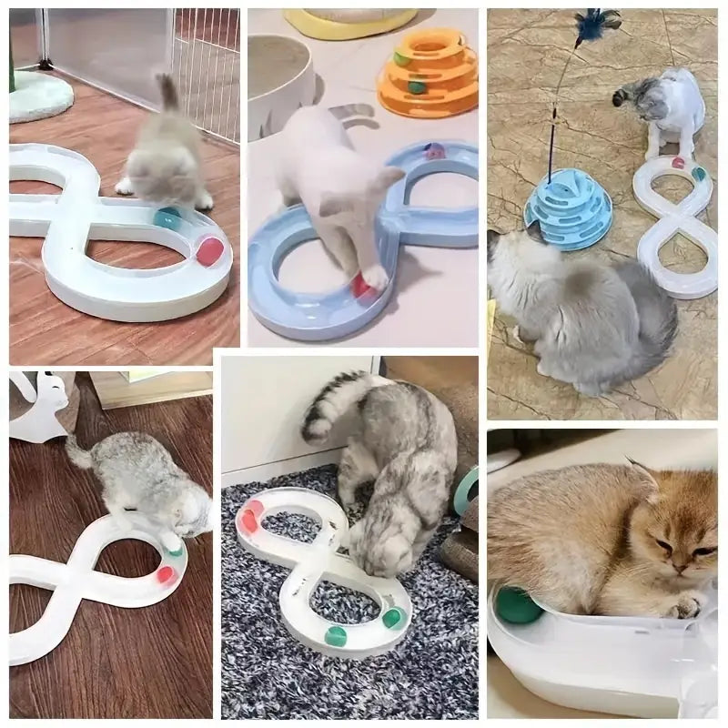 Cat enrichment infinity ball track, promoting exercise and play in pets