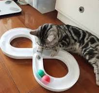 Vibrant interactive cat toy, infinity loop with rolling balls for playful cats