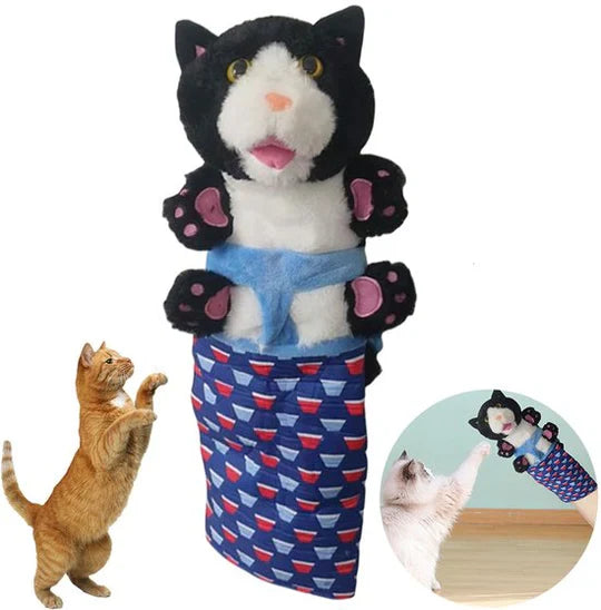 Hand wearing interactive cat play glove, stimulating playtime for happy cats & kittens
