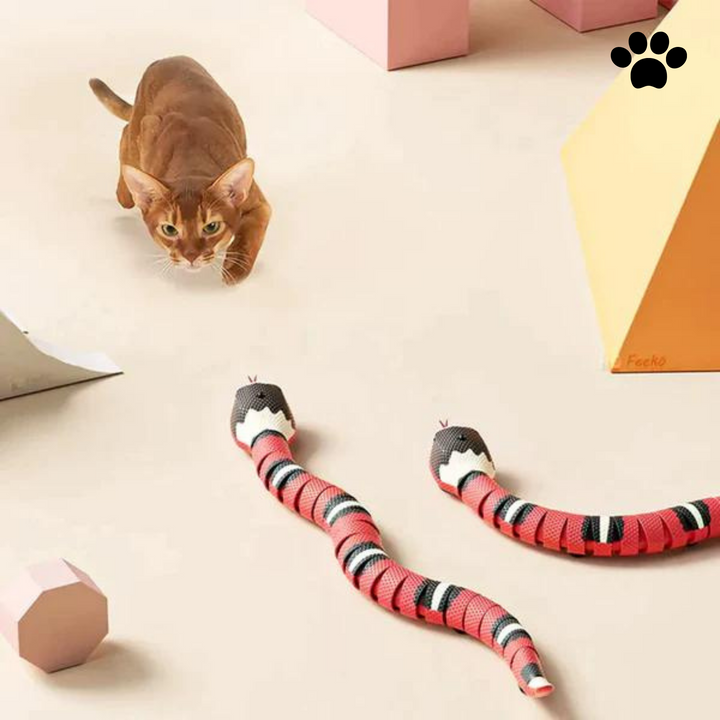 Interactive cat snake toy with motion sensor, enticing feline play for indoor pets and exercise.