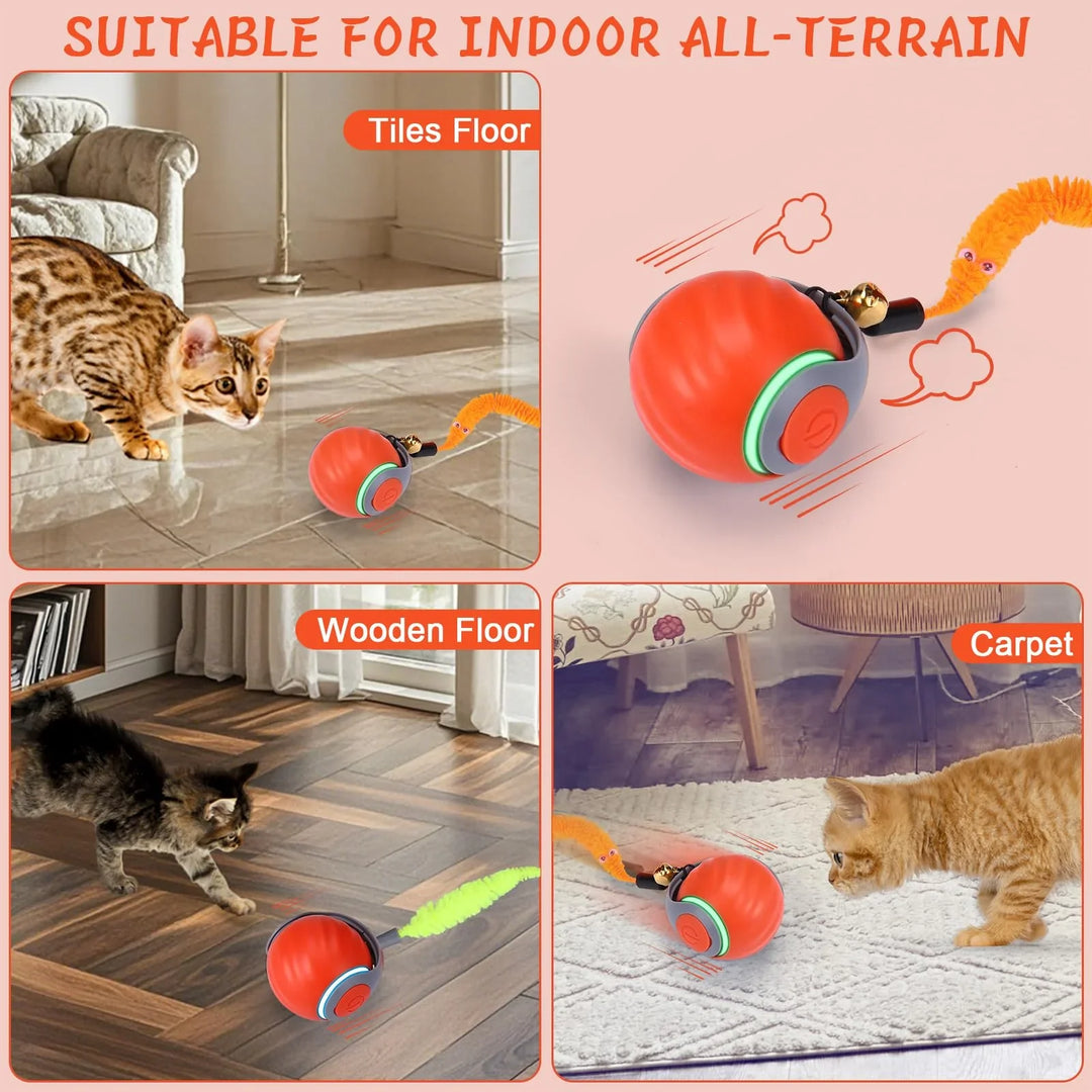 Feline enrichment interactive toy ball, motion-sensing for active play