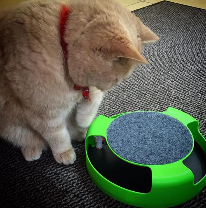 Pet product showcasing an interactive cat toy, ideal for keeping active cats entertained and stimulated.