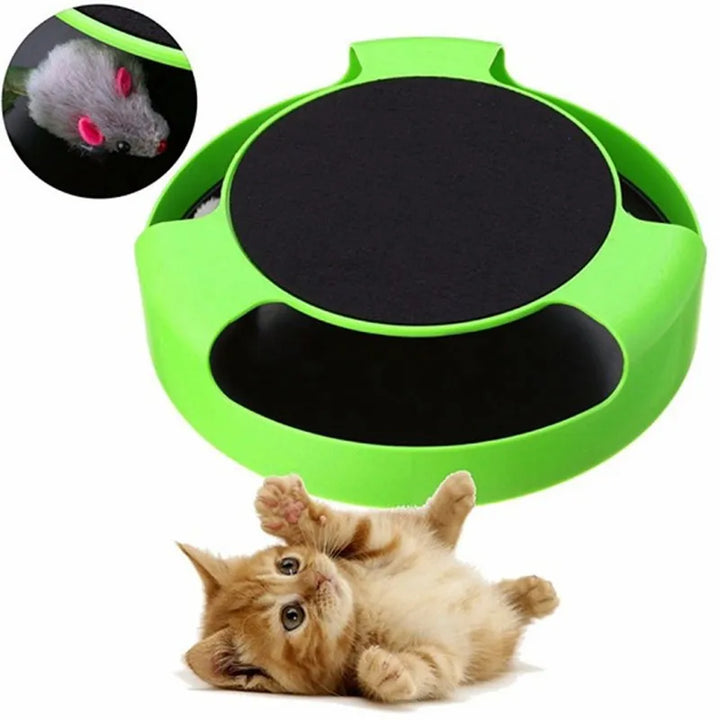 Close-up of an interactive pet toy, featuring a moving mouse under a durable plastic cover for cats.