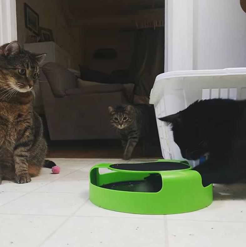 Durable interactive cat toy with unpredictable mouse movements, perfect for indoor feline activity.