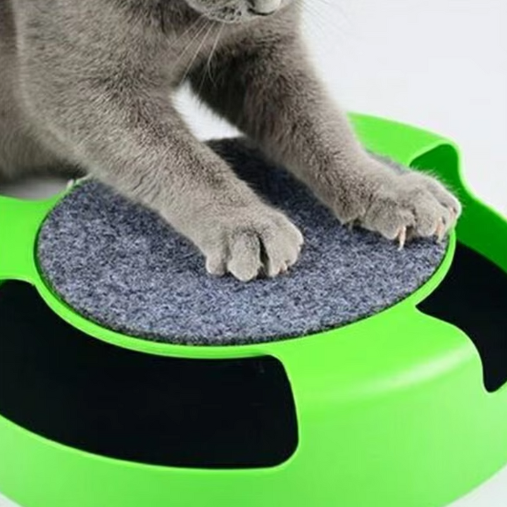 Engaging pet supplies: a mouse-themed cat toy promoting active play and mental stimulation.