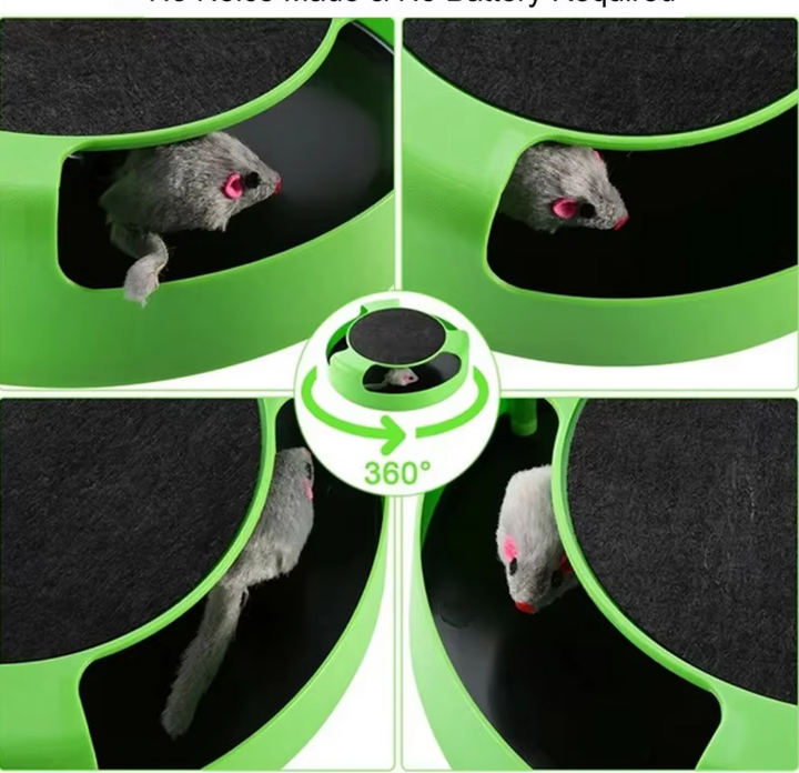 Top-down view of an interactive cat toy, showing the circular design and mouse peeking out.