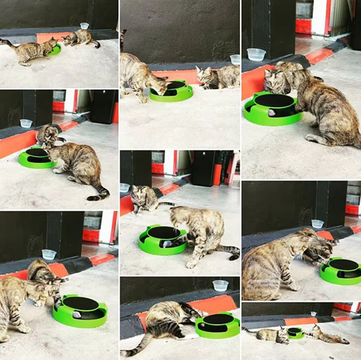 Modern interactive feline toy with an electronic mouse, designed for hours of entertainment.