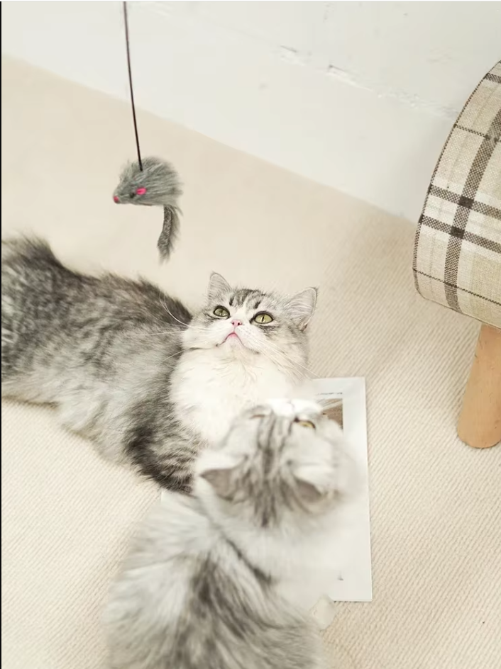 Pet supplies: interactive cat toy, a jumping mouse attached to a door hanger, for solo feline fun.