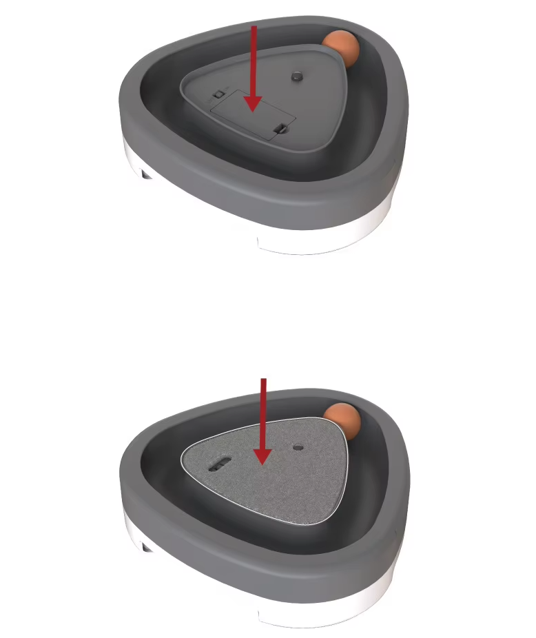 Top-down view of an interactive cat toy, combining a scratch pad with a ball for pet exercise and claw care