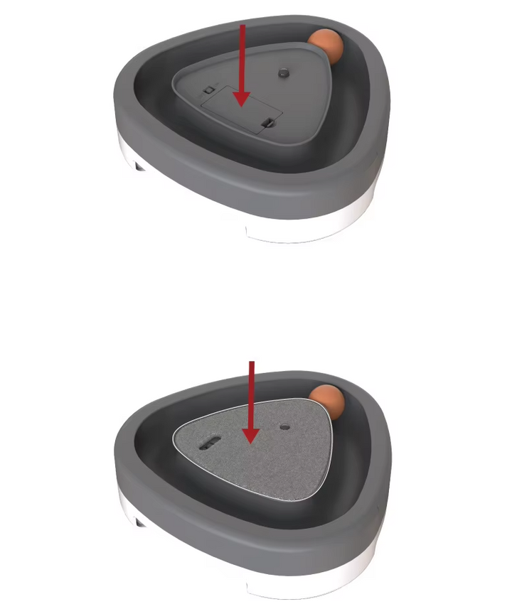 Top-down view of an interactive cat toy, combining a scratch pad with a ball for pet exercise and claw care