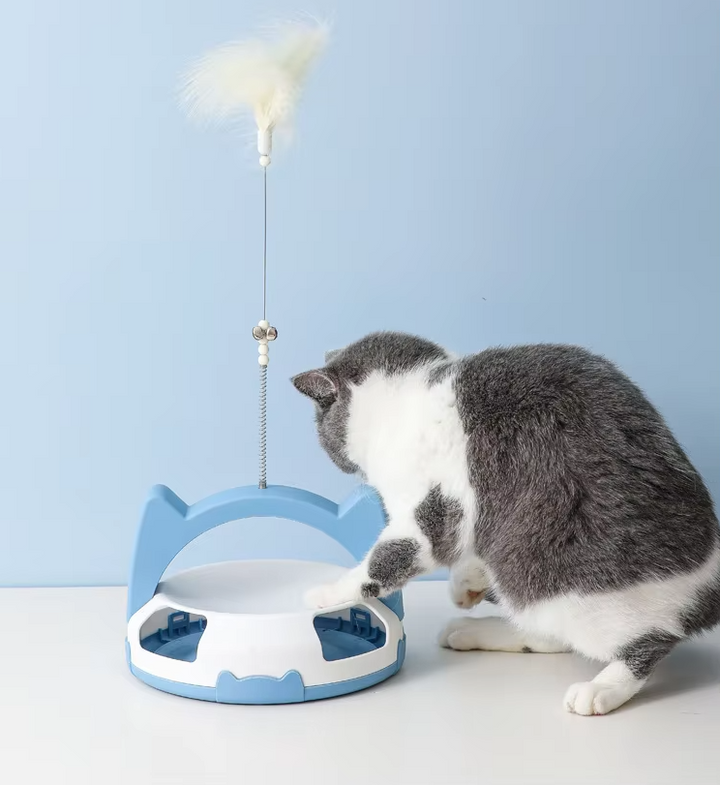 Pet exercise cat toy: feather wand attachment and a fascinating rolling ball pathway