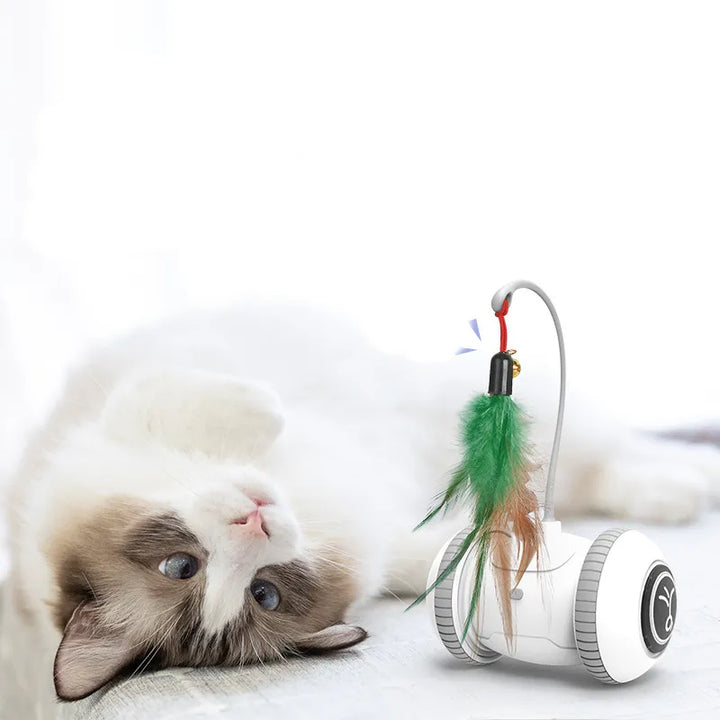 Close-up of a cat playing with a colorful feather wand attached to an interactive toy
