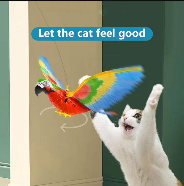 Cat batting at a flying interactive toy, demonstrating active play and animal enrichment for pets.