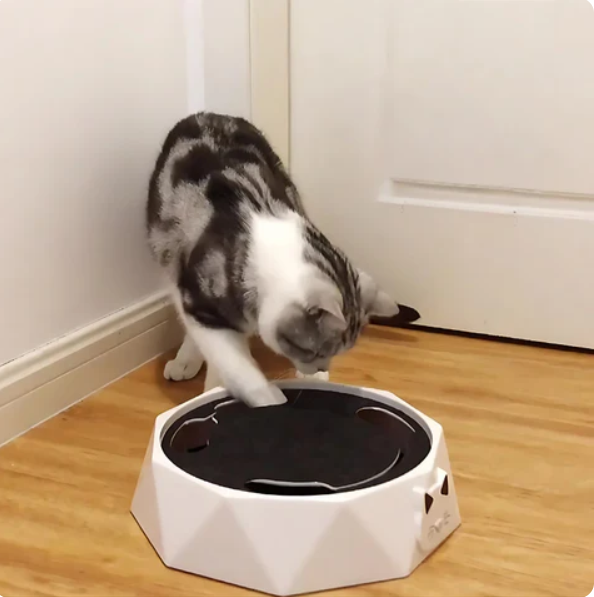 Cat toy with a rotating, motorized mouse attracting a cat's attention for engaging and active play.