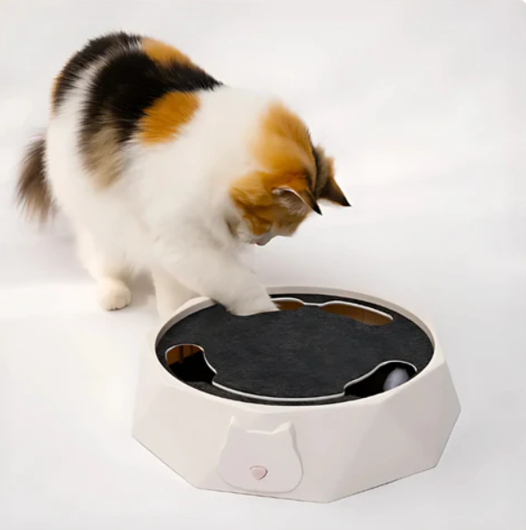 Pet supplies: interactive cat toy featuring a hidden, moving mouse to stimulate hunting instincts.