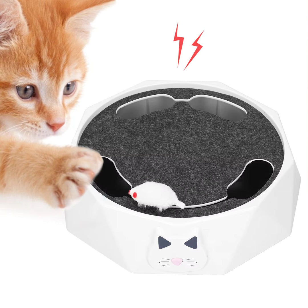 High-quality interactive cat toy for indoor cats, with a motorized mouse offering hours of entertainment.