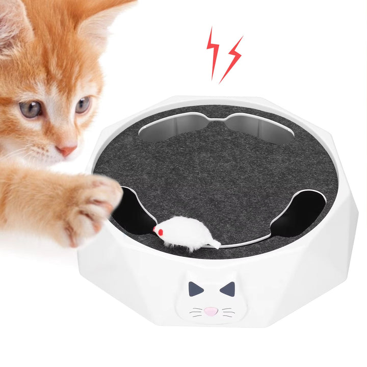 High-quality interactive cat toy for indoor cats, with a motorized mouse offering hours of entertainment.