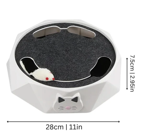 Interactive cat toy with a fast-moving motorized mouse, promoting exercise and mental stimulation for felines.