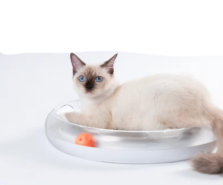 Durable interactive cat scratcher with a corrugated board and rolling balls for playful cats