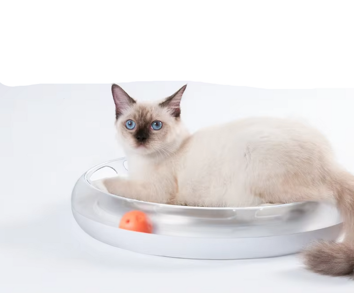 Durable interactive cat scratcher with a corrugated board and rolling balls for playful cats