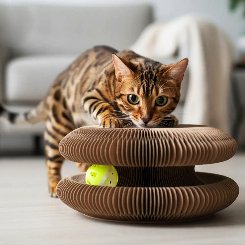 Durable cat toy featuring a corrugated scratching pad and an elusive track ball for cat entertainment