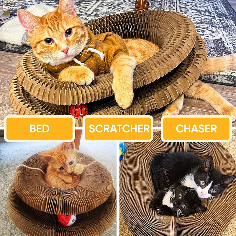 Cat toy with circular track, rolling ball, and central scratching pad, perfect for active indoor cats