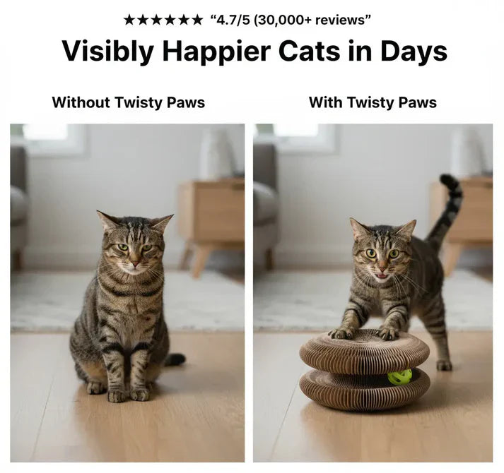 Indoor cat entertainment: interactive scratcher toy with a trackball to keep felines active and happy