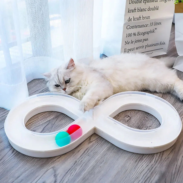 Close-up of a cat paw batting at a rolling ball in an interactive track toy, fun pet supplies.