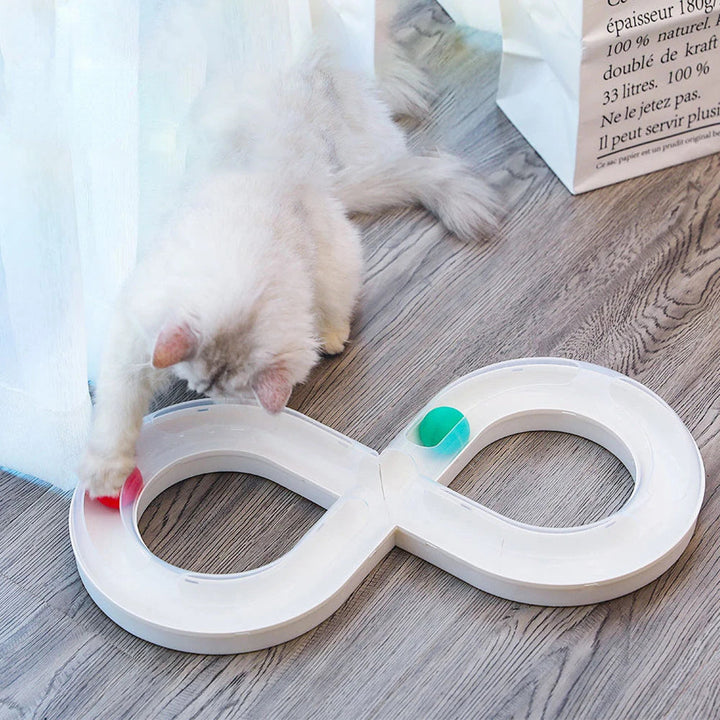 Cat looking intently at a rolling ball in a multi-level interactive track toy for mental stimulation.