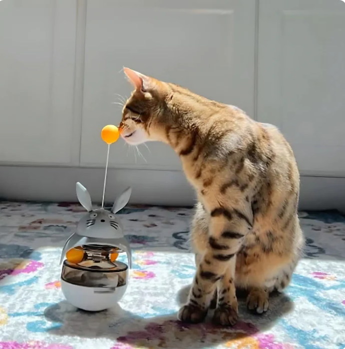 Cat pawing at blue Interactive Treat Dispenser, encouraging active play and slow feeding