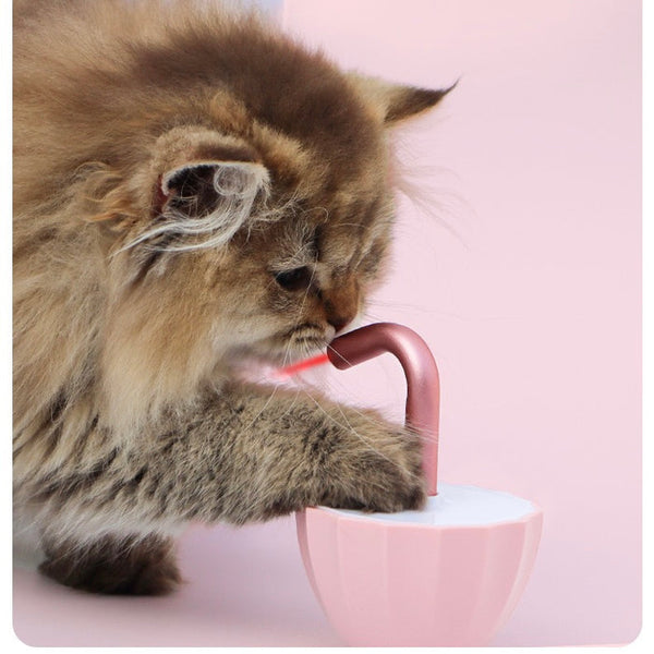 Cat laser wobble toy, red dot moves unpredictably for intense cat enrichment and exercise.