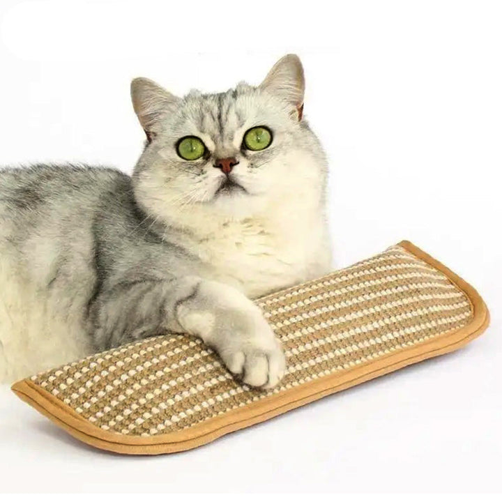 Interactive catnip chew toy for cats, made with organic catnip, for feline enrichment and dental health.
