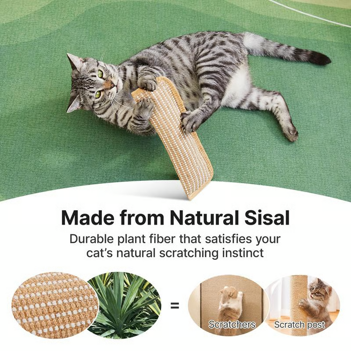 Close-up of a durable catnip chew toy, perfect for interactive play and promoting healthy feline teeth.