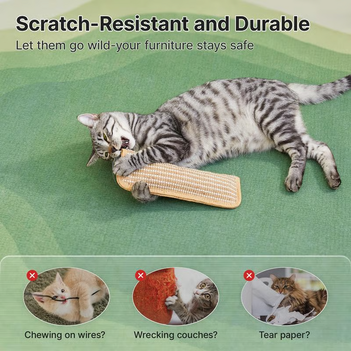 A cat batting at an interactive catnip chew toy, providing engaging pet supplies for feline enrichment.