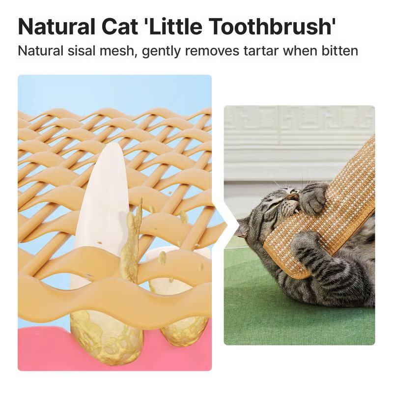 Brightly colored organic catnip chew toy, providing pet supplies for hours of interactive feline enrichment.