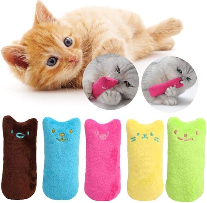 Interactive catnip dental toy for kittens playing with teeth cleaning features