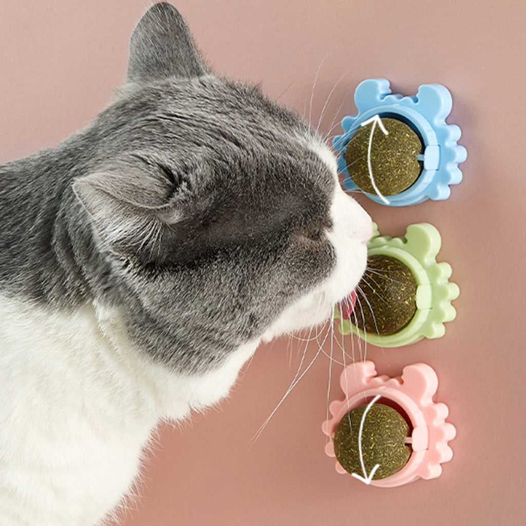 Interactive catnip wall ball for feline fun, encouraging active playtime for cats and kittens.