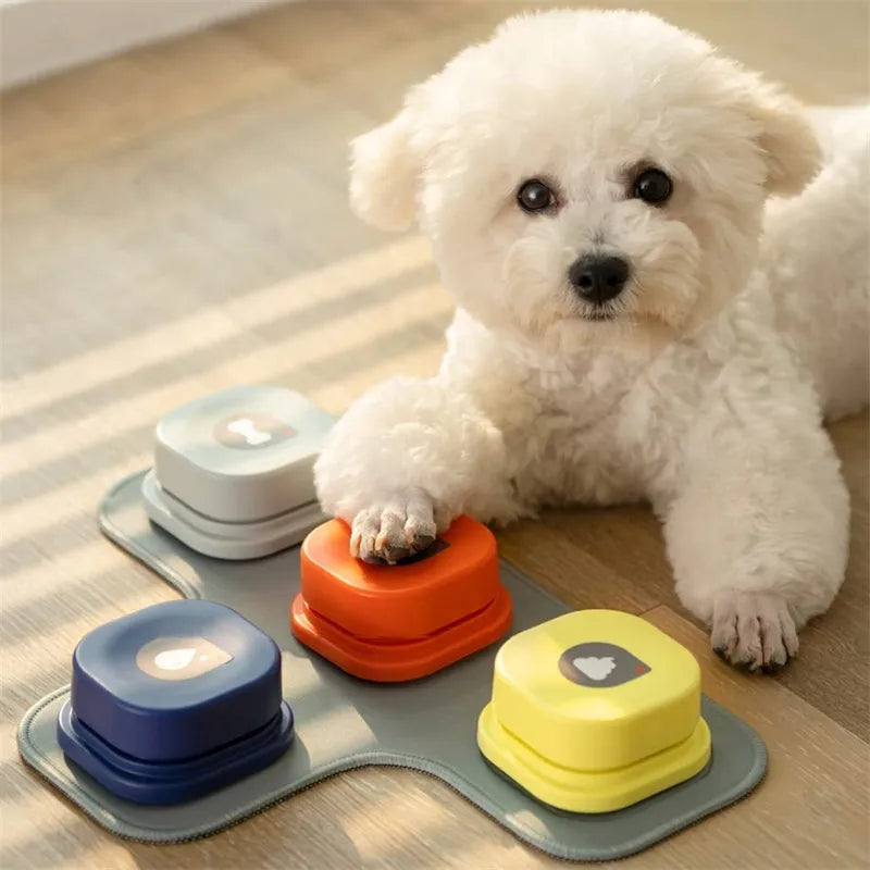 Close-up of a dog paw pressing an interactive sound button for pet training and engagement