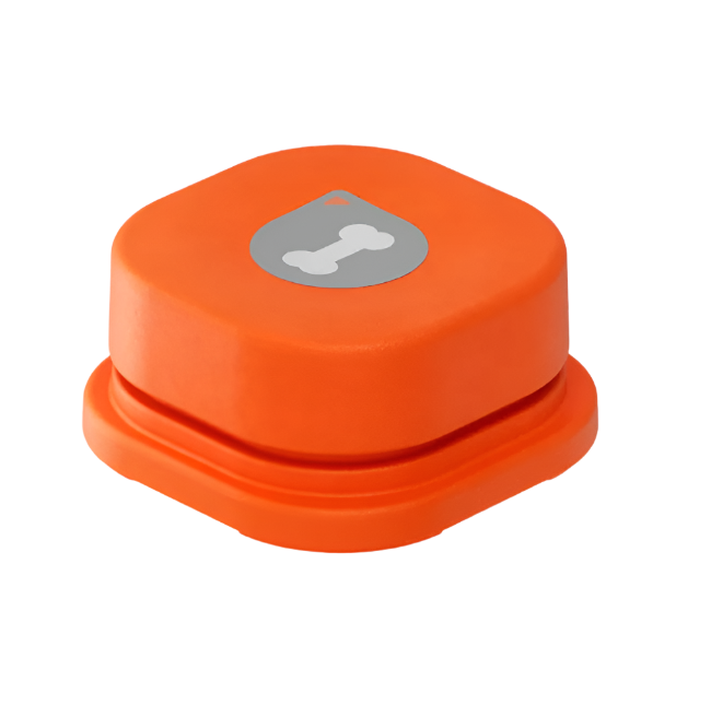 Dog exploring interactive communication buttons, an engaging pet gadget for canine learning